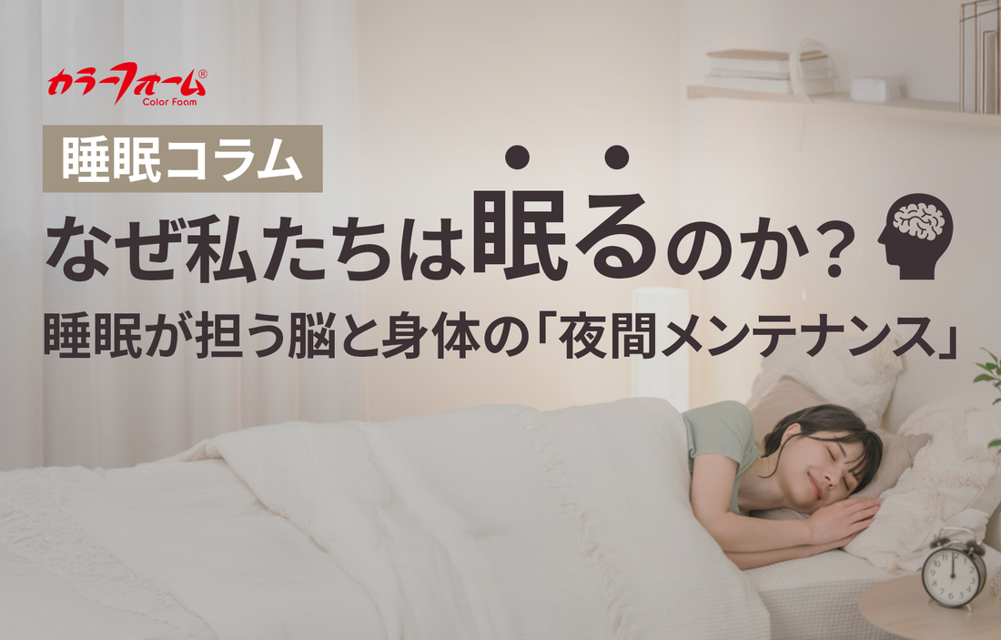 なぜ私たちは眠るのか？睡眠が担う脳と身体の「夜間メンテナンス」