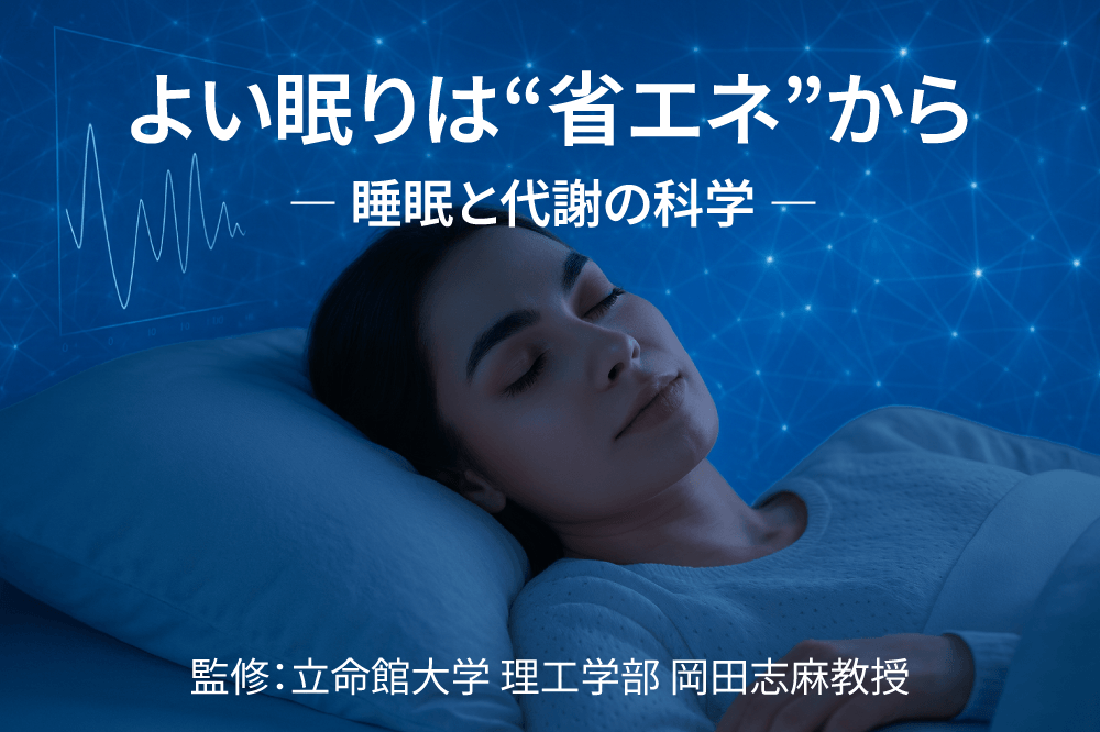 【立命館大学｜世界睡眠学会発表研究】コラム　よい眠りは“省エネ”から ― 睡眠と代謝の科学