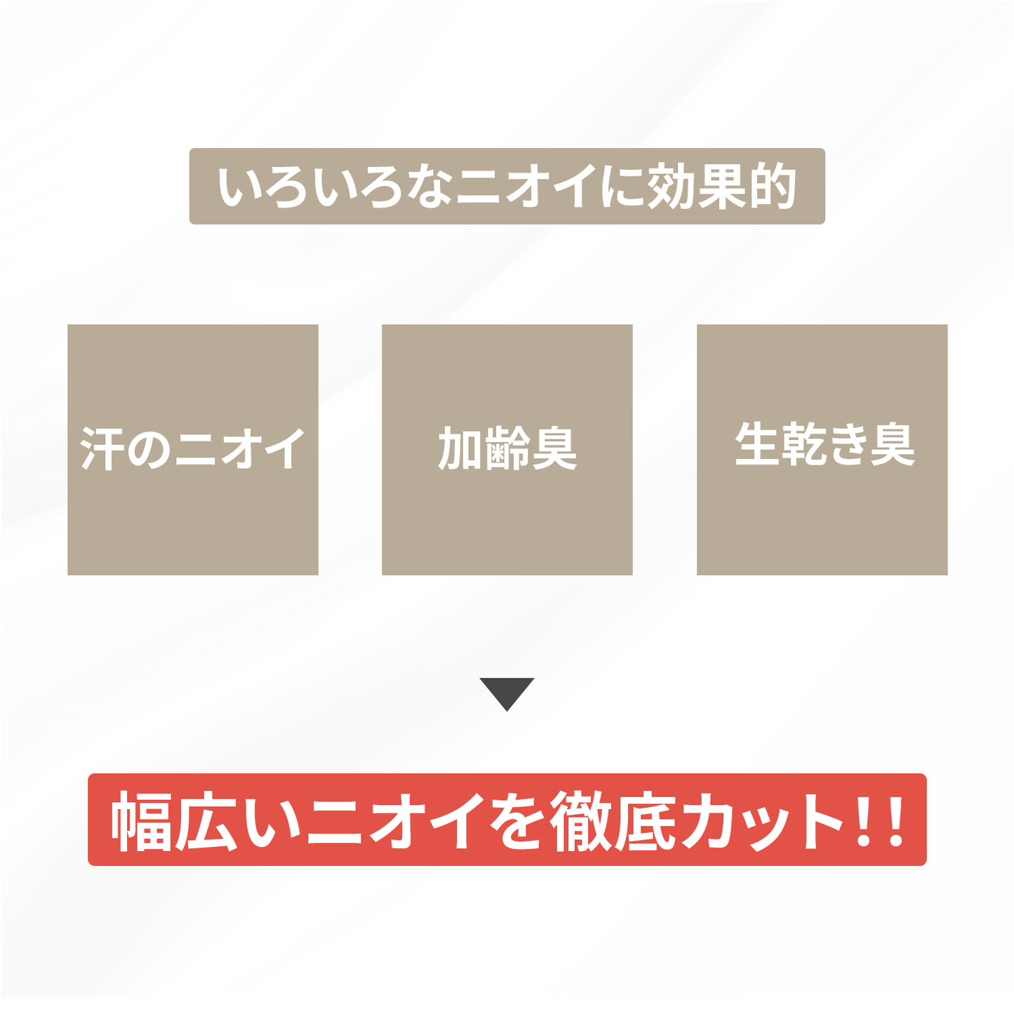 デオエスト×カラーフォーム BOXシーツ